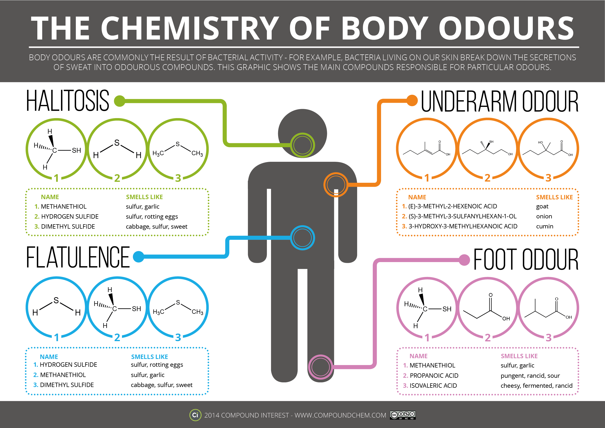 The Chemistry Of Body Odours Asynt