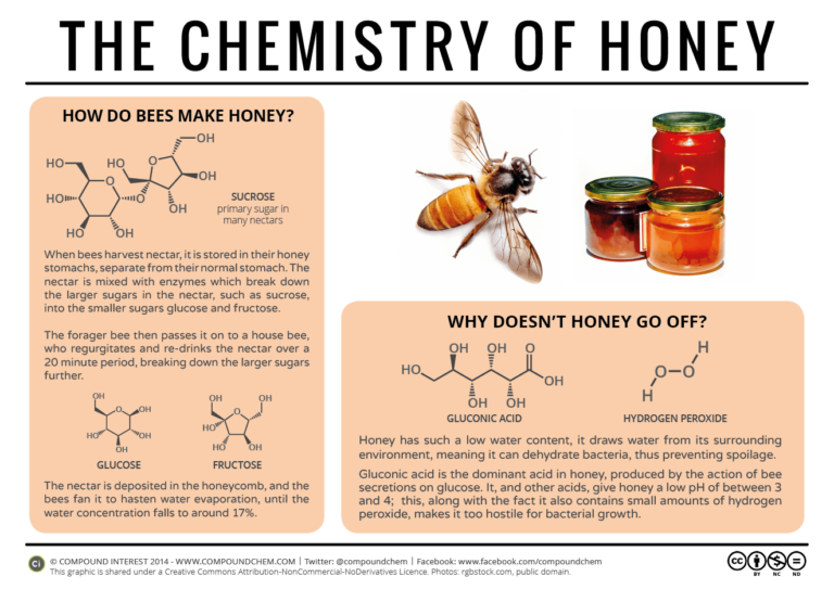 Être ou ne pas être abeille - que se passe-t-il dans le monde de l ...