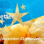 Asynt monthly newsletter December 2021