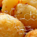 solanine and the chemistry of roast potatoes