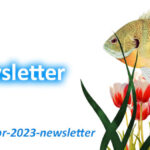 Asynt April 2023 Newsletter