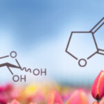 the chemistry of tulips - Asynt chemistry blog