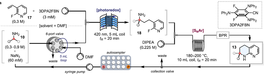 Modular, automated flow synthesis of spirocyclic tetrahydronaphthyridines from primary alkylamines - graphic 1